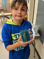 Creator Camp: Under the Sea