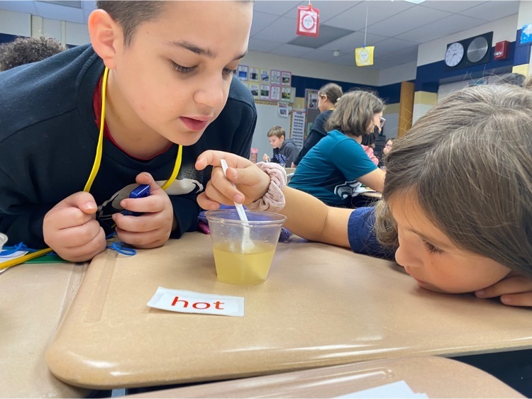 students observing water cup